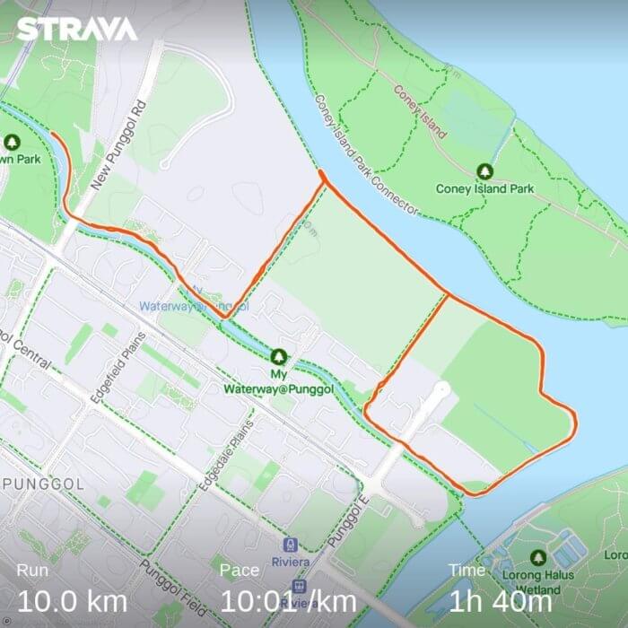 strava map of 10km run