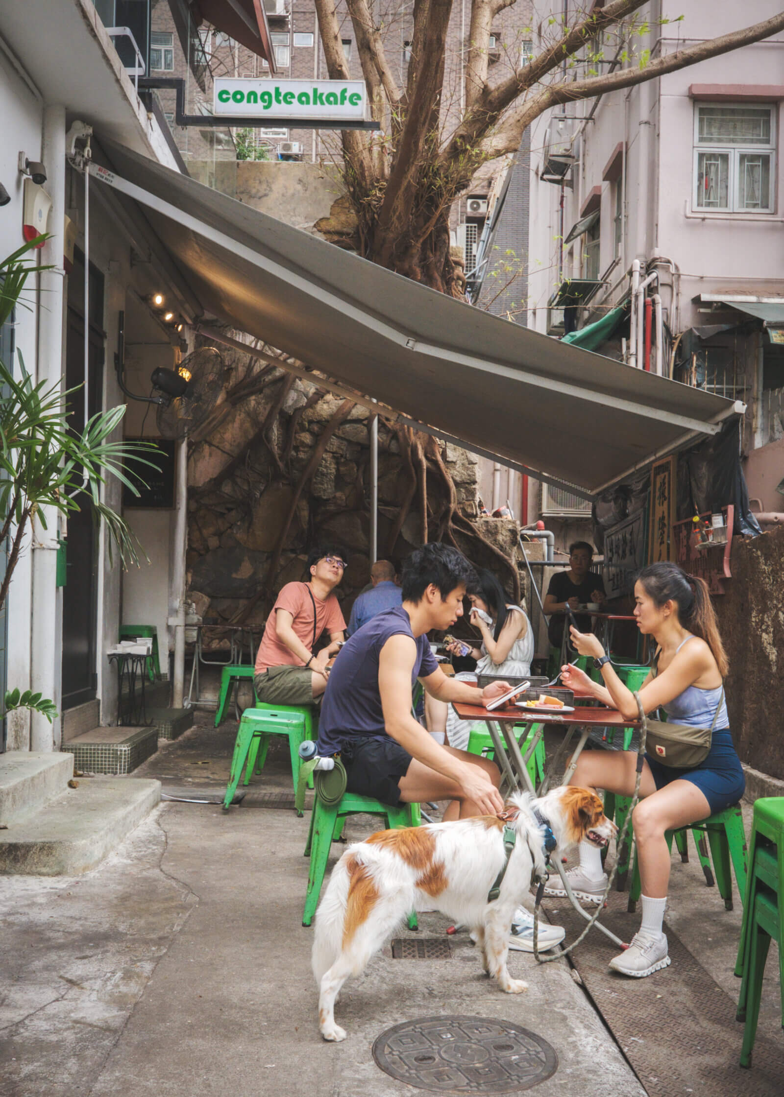 photo of congteakafe