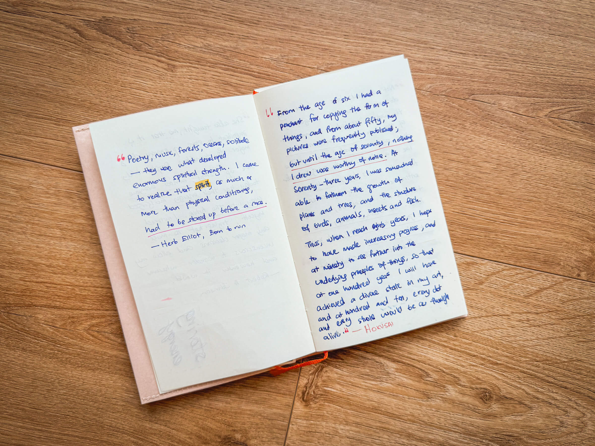 photo of my notebook containing some quotes