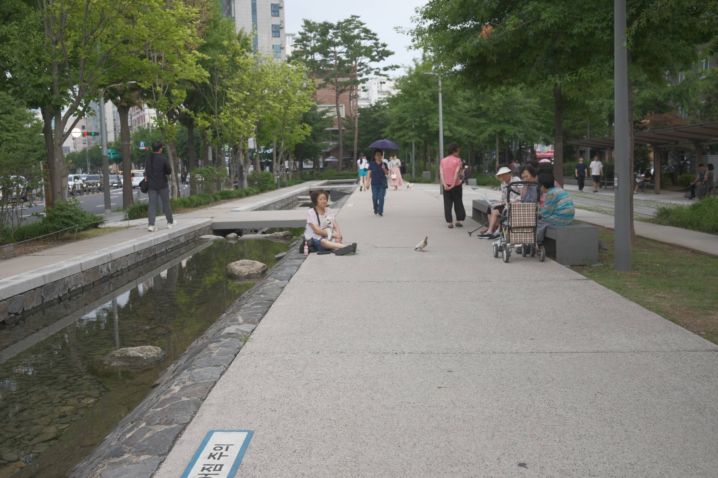 photo of some elderly ladies chatting at a park, with one lady hugging her dog, sitting on the ground