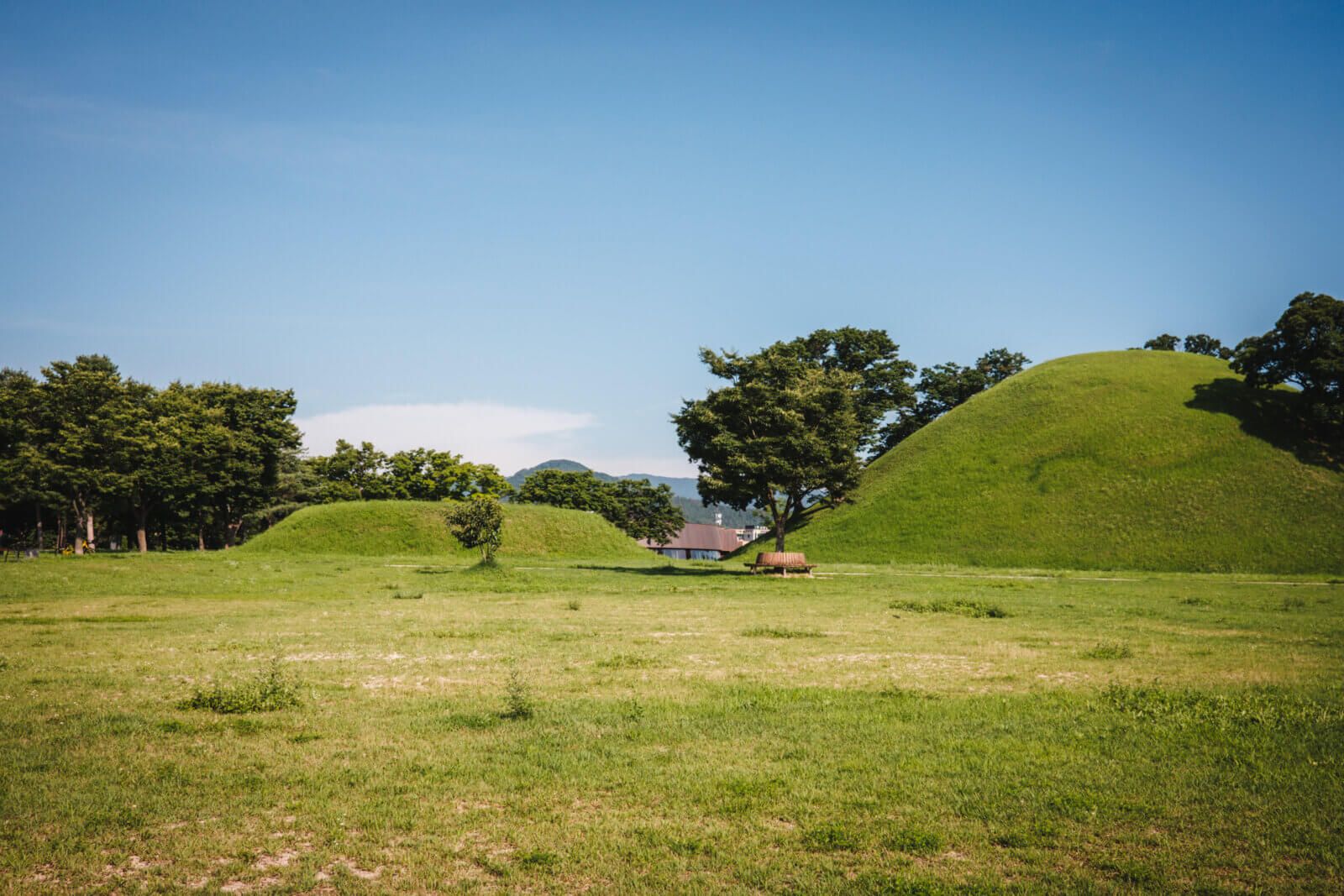 photo of tombs in gyeongju
