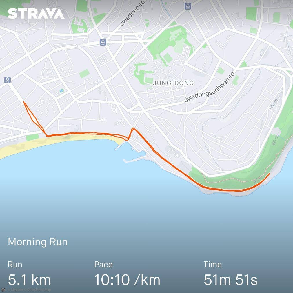 image of strava-generated map