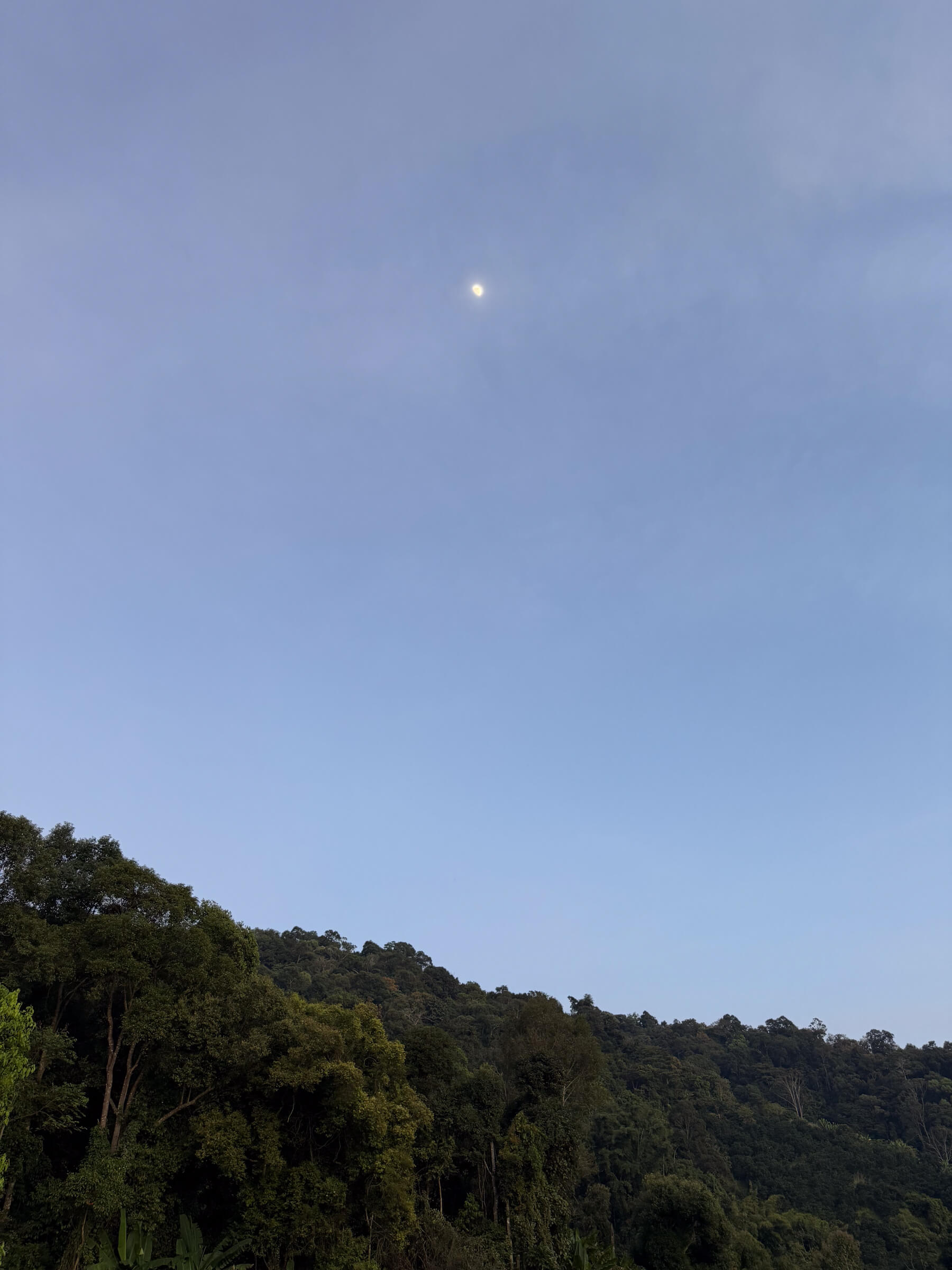 photo of the moon in a clear evening sky