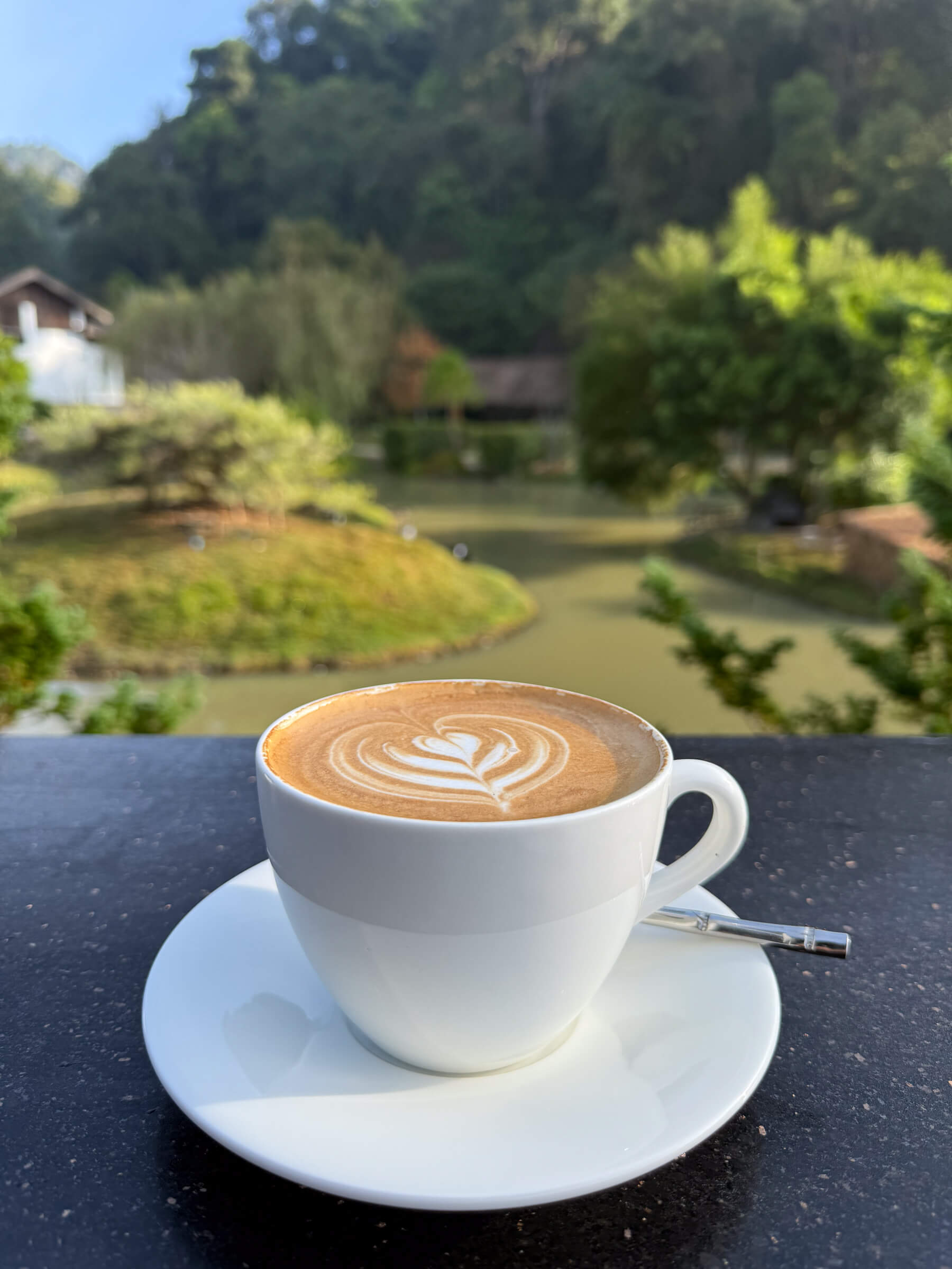 photo of a latte against a beautiful landscaped backdrop