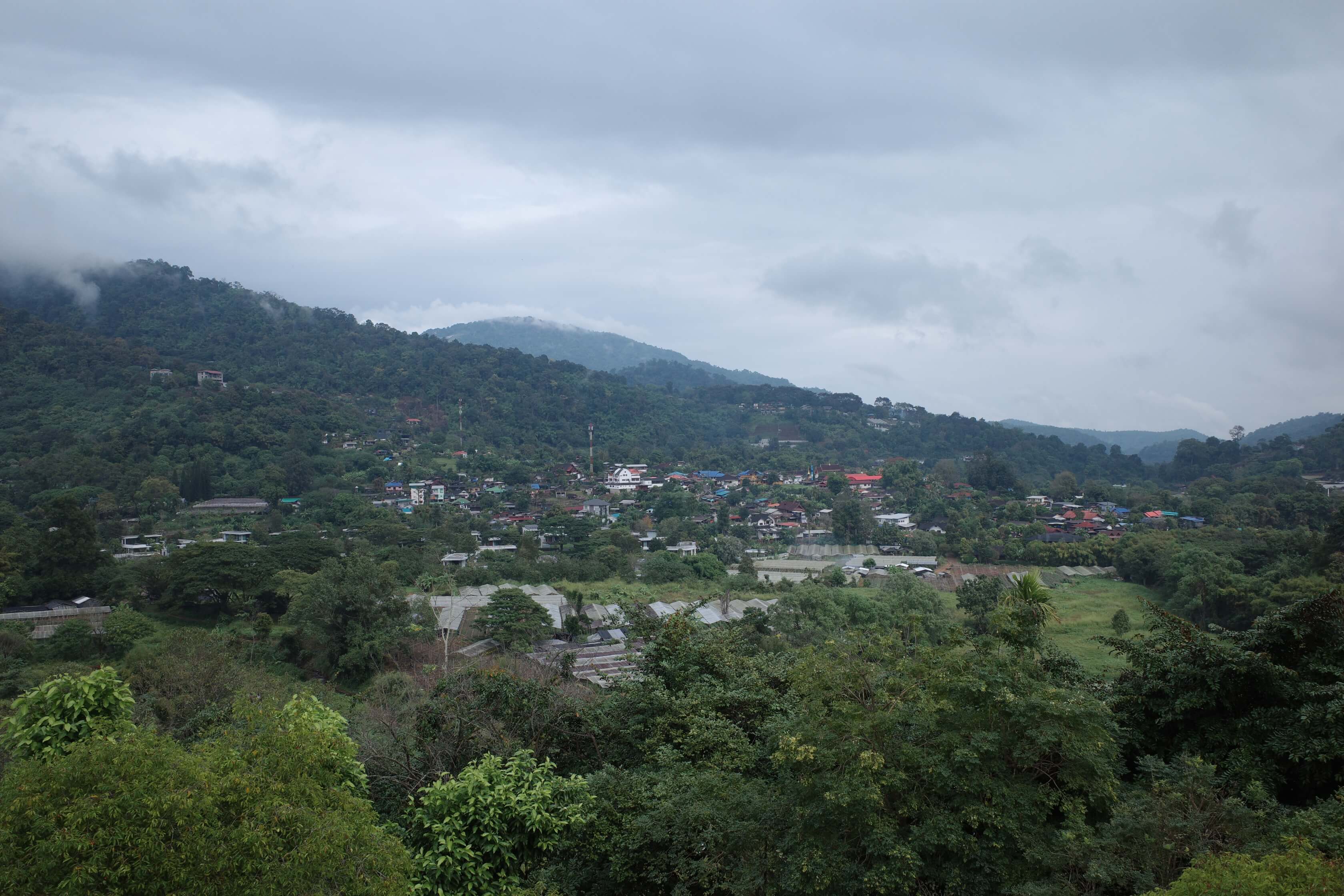 photo of another view on the mountains near pong yaeng