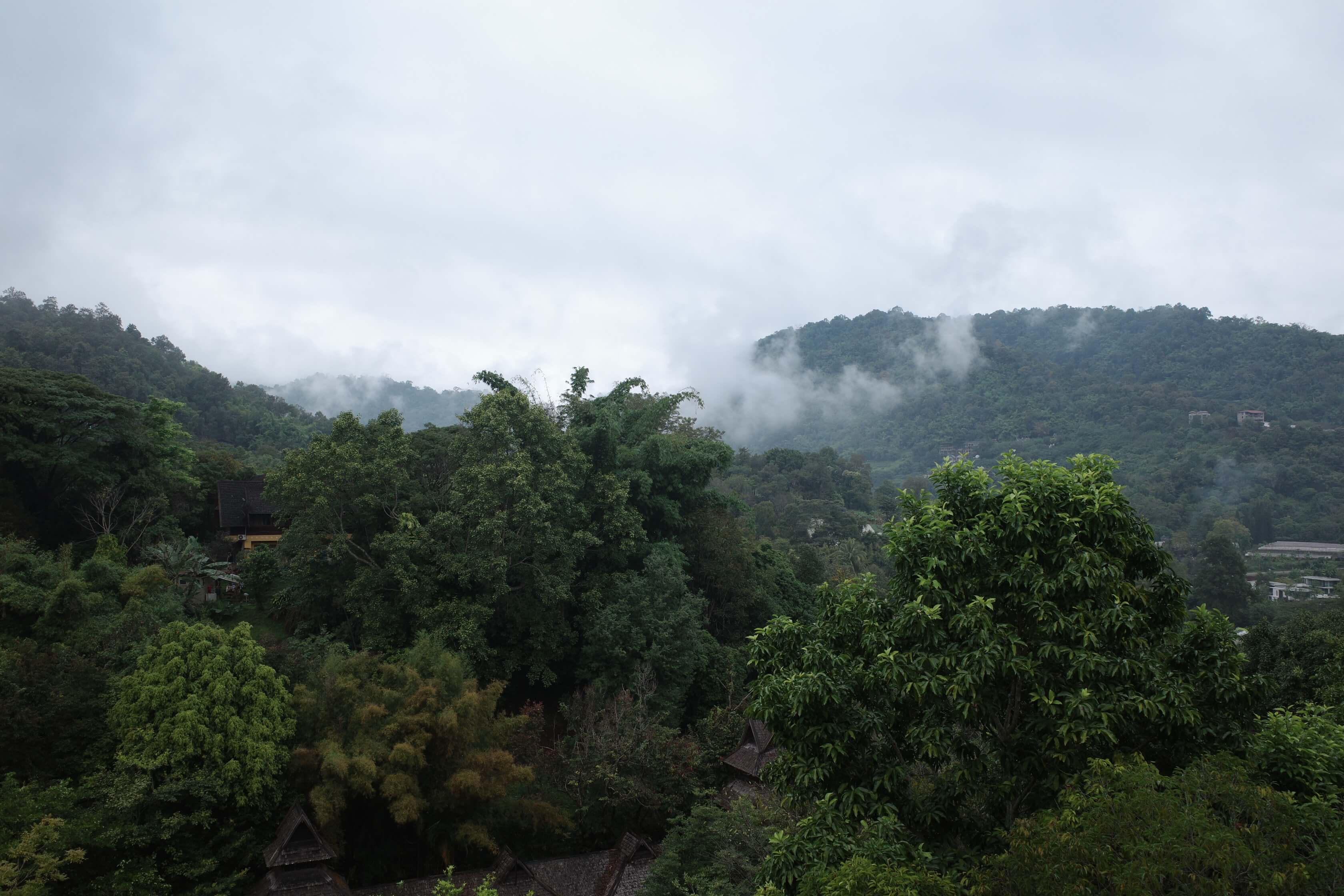 photo of another view on the mountains near pong yaeng with some misty clouds
