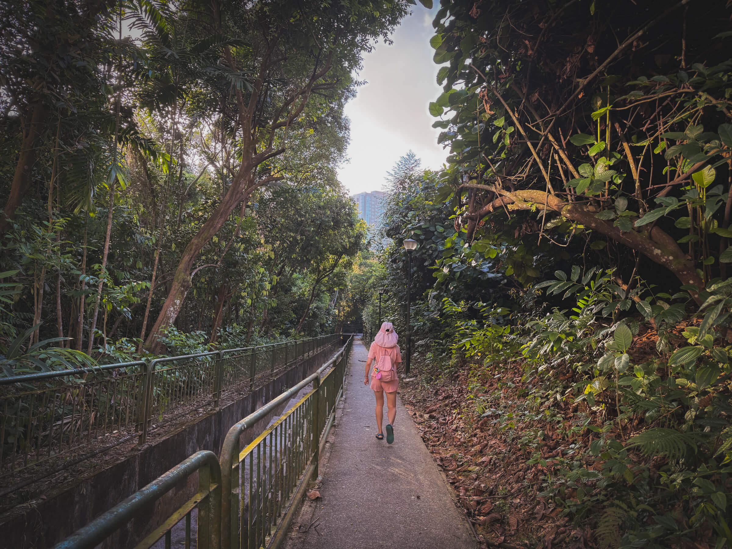 photo of my partner at a park